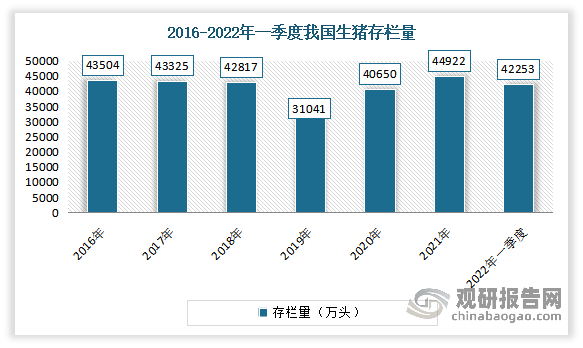 关于江苏战绩逐渐回升，实力持续获得肯定的信息